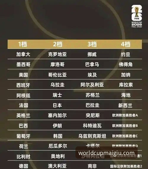 世界杯决赛投注全攻略：从玩法到平台选择的深度分析
