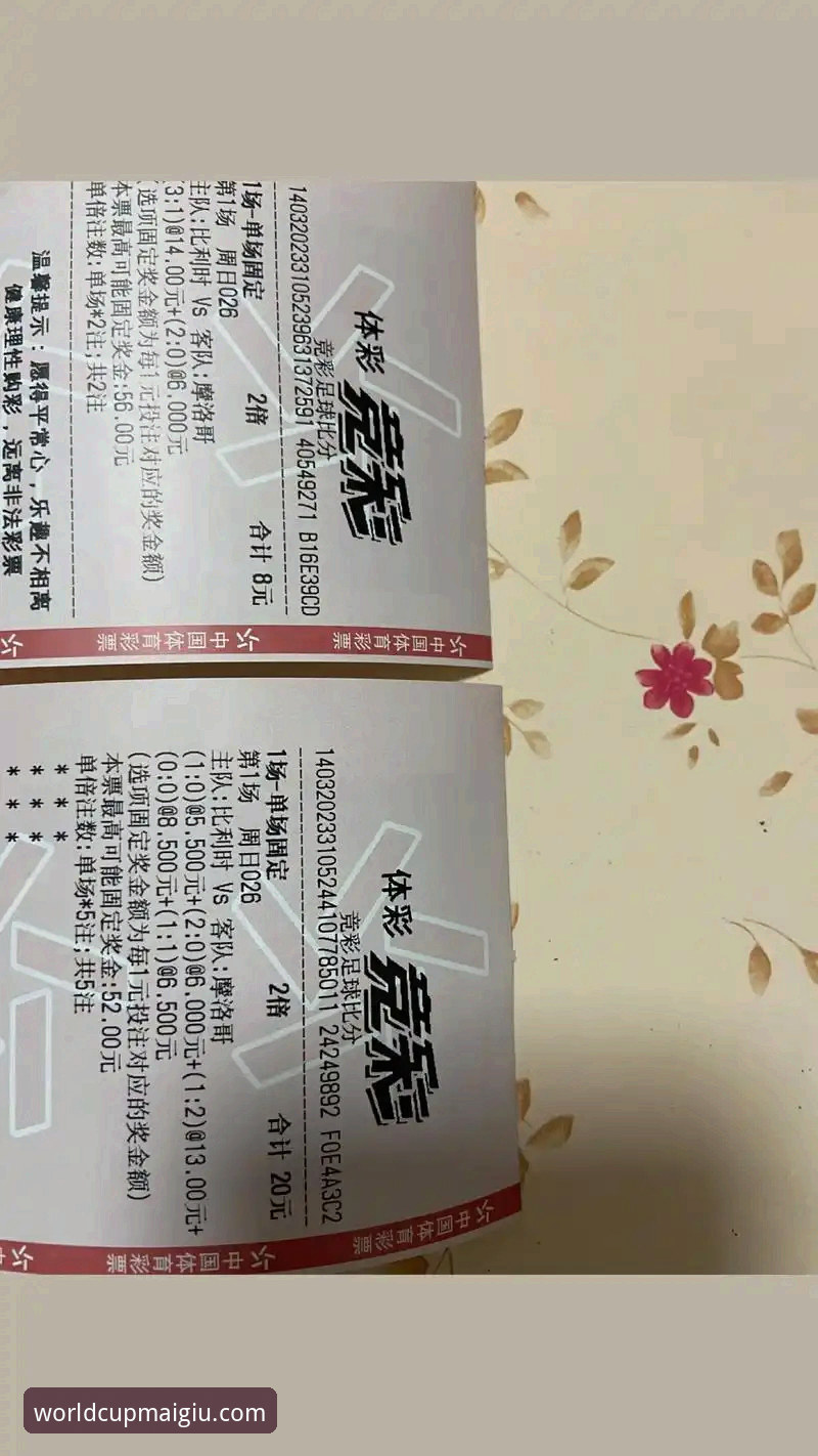 世界杯购彩平台可靠性实用指南——从实战角度判断2026新版值不值得入手
